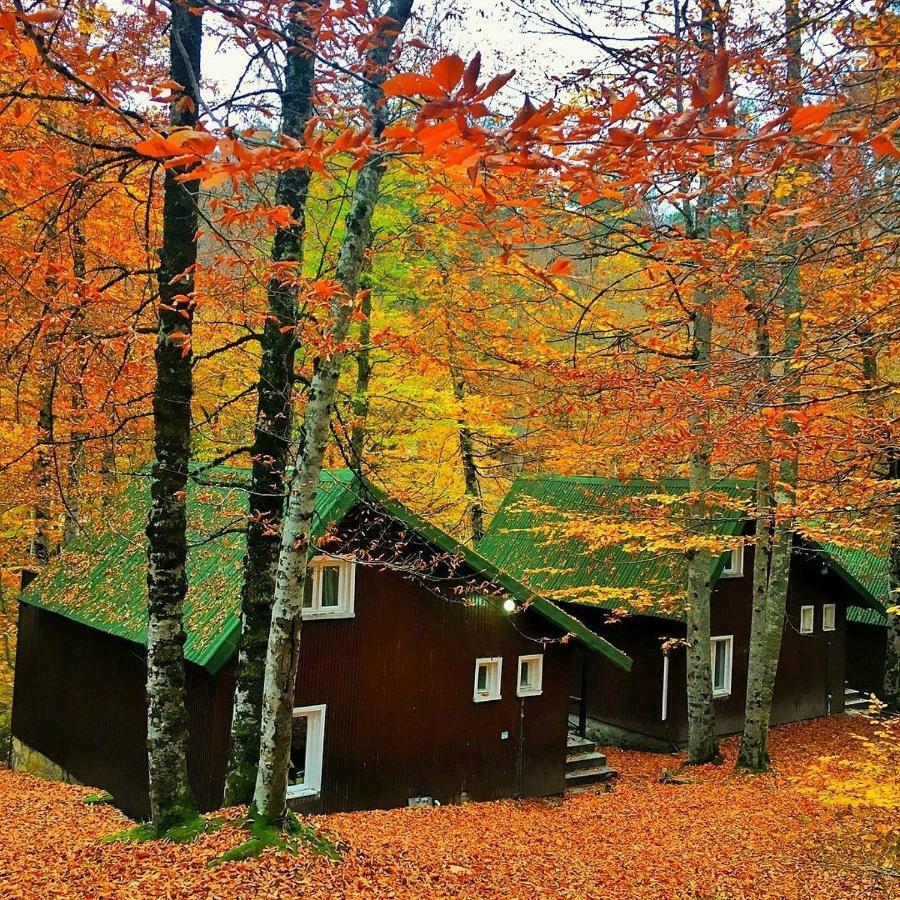 Habitat Mesire Mengen Exterior foto