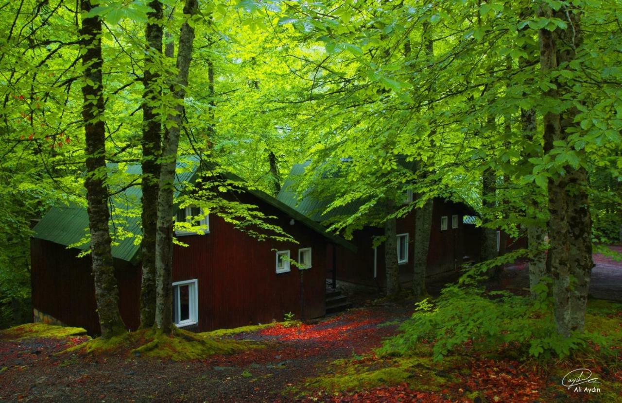 Habitat Mesire Mengen Exterior foto